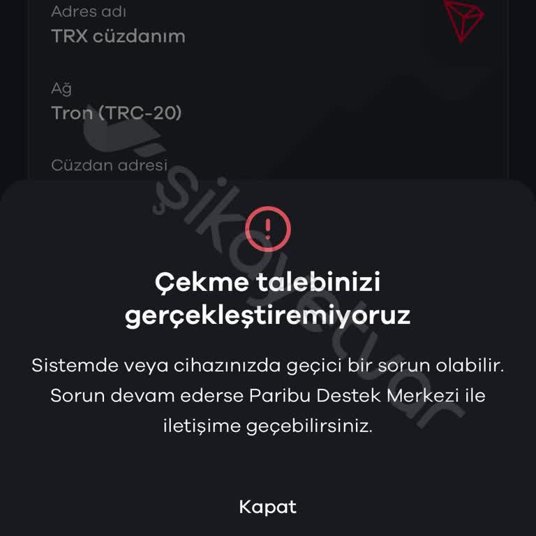 Paribu'dan Binance Pro'ya Para Transferinde Yaşanan Sorun