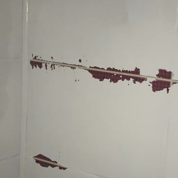 Bianca Boya Hüsranı: Kalitesiz Ürün Ve Yetersiz Çözüm!