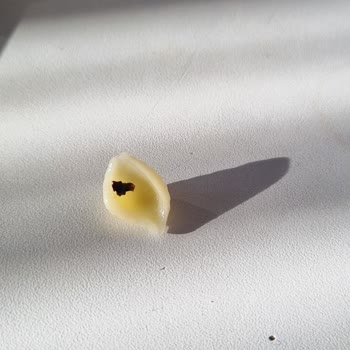 Barilla Makarna İçinden Çıkan Bilinmeyen Madde Hayal Kırıklığı Yarattı