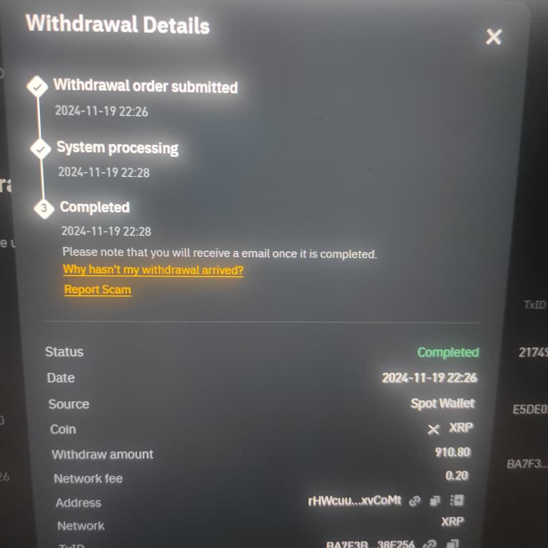 Eksik Yatırım İşlemleri Ve Yüksek Komisyon Ücretleri
