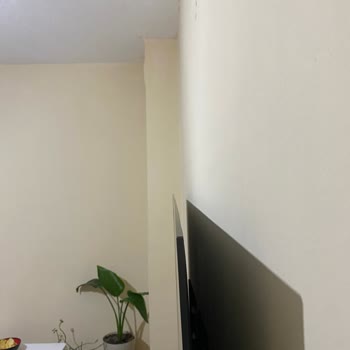 Samsung OLED Televizyonumda Yaşadığım Sorunlar Ve Media Markt'ın İlgisizliği