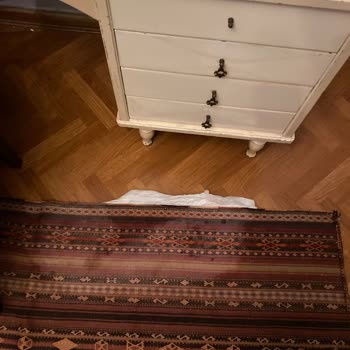 Bozuk Meyve Suları Ve Zarar Gören Antika Kilim