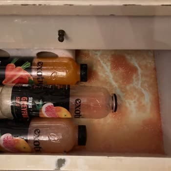 Bozuk Meyve Suları Ve Zarar Gören Antika Kilim