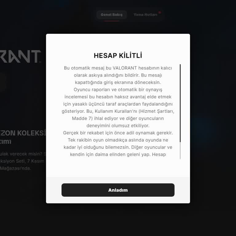 Plötzliche Sperrung meines Riot Games-Kontos ohne nachvollziehbaren Grund