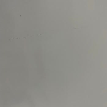 Buzdolabı Teslimatında Hasar Ve İlgisizlik