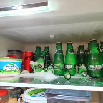 Bosch Buzdolabında Süregelen Soğutma Sorunları Ve Yetersiz Teknik Destek