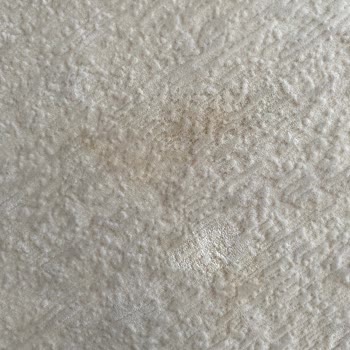 Leke Tutmaz Halı Ve Kötü Müşteri Hizmeti