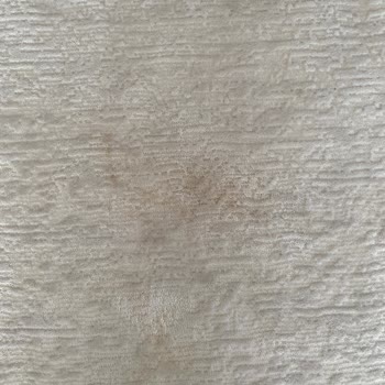 Leke Tutmaz Halı Ve Kötü Müşteri Hizmeti