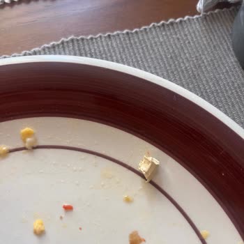 Fora Zeytin Dolgulu Zeytin Yüzünden Diş Tedavisi Ve Lastik Parçası Şoku