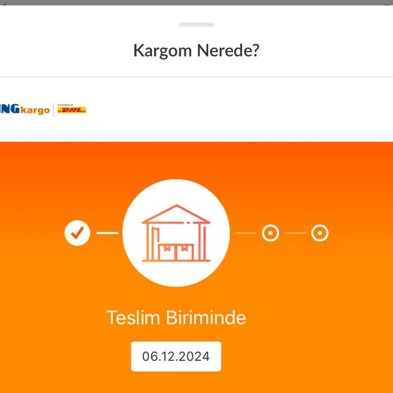 MNG Kargo'nun Teslimat Sorunu
