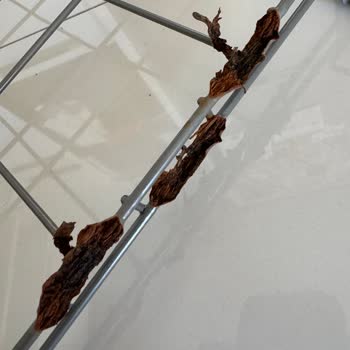 Samsung Bulaşık Makinesi Sepet Paslanma Sorunu