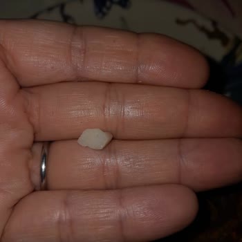 Kuruyemişte Plastik Parça Tehlikesi