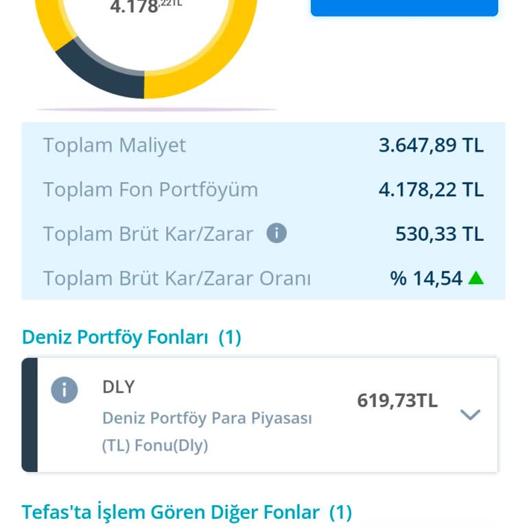 Denizbank Fon İşlemlerinde Bilgilendirme Eksikliği Ve Gecikmeler