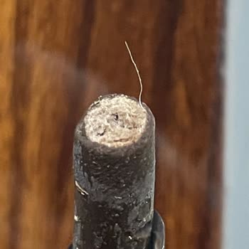 Biscolata Stix'ten Çıkan Uzun Kıl Şoku