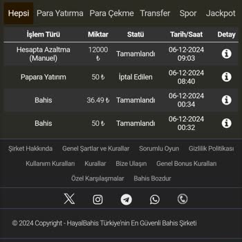 Kazancımın Silinmesiyle Hayal Kırıklığına Uğradım