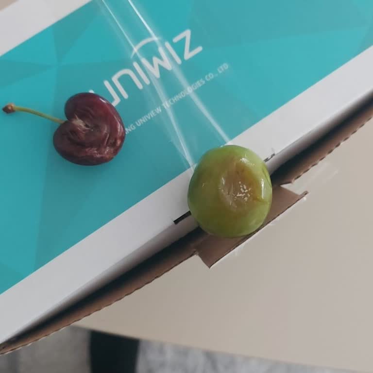 Hamile Marketim’den Sipariş Hayal Kırıklığı!