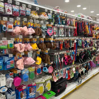Pet Shop Ürünlerinde İade Sorunu