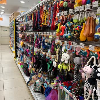 Pet Shop Ürünlerinde İade Sorunu