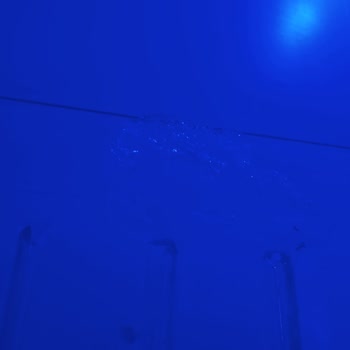 Beko Buzdolabı Sebzelik Bölümü Sorunu Ve Servis Mağduriyeti