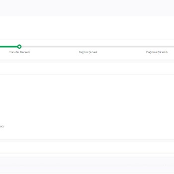 İkitelli Aktarma Merkezi'nde Kargo Çilesi