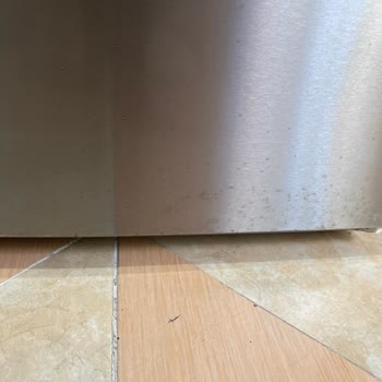 Bosch Buzdolabı Kapaklarında Pas Sorunu