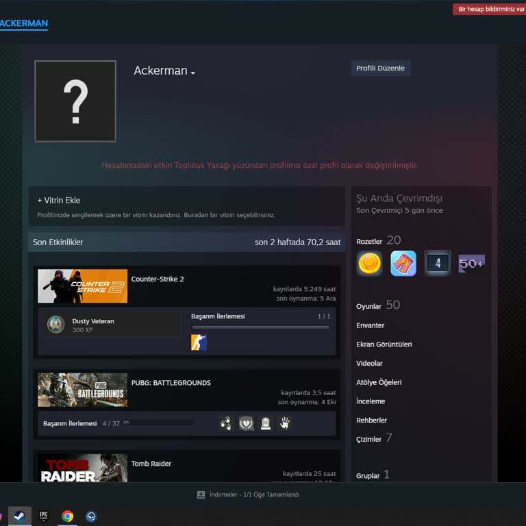 Steam Topluluk Yasağı Ve Destek Yanıtsızlığı