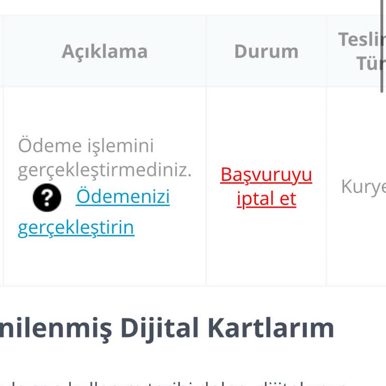 Passolig Başvurusunda Ödeme Adımı Sorunu