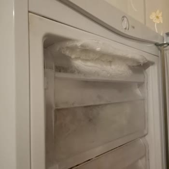 Uğur Derin Dondurucu: Buzlanma Ve Gecikme Sorunları