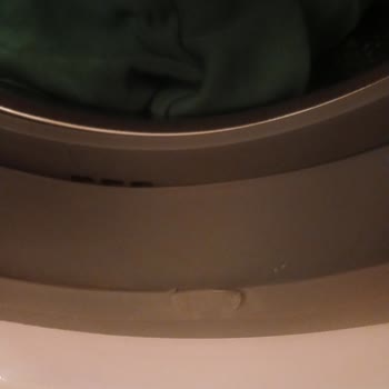 LC Çamaşır Makinesi: Garanti Dışı Lastik Sorunu