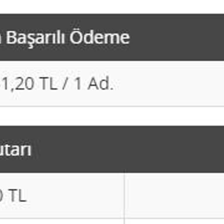 Ödeme Sistemlerindeki Gecikme Ve Mağduriyet