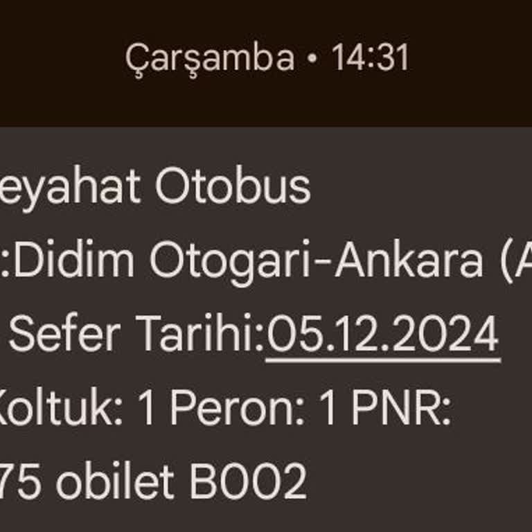 Otobüs Yolculuğunda Sigara Ve Hız Sorunu