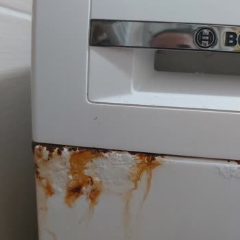 Bosch Çamaşır Makinesi Paslanma Sorunu