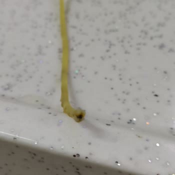 Makarna İçindeki Küf Sorunu Ve İletişim Engeli