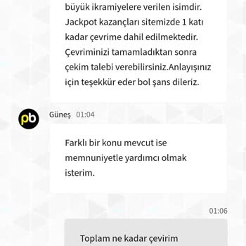 Palace Bet'te Ödeme Sorunu Ve Engelleme