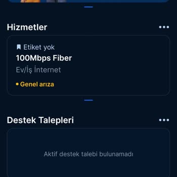 Erişilmez Destek Ve Kesintili İnternet Kabusu