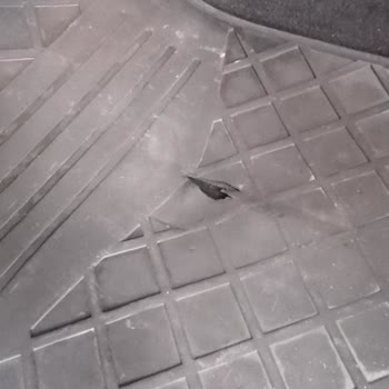 Yeni Clio Aracımın Paspas Sorunu Çözülmeli