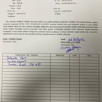 Veteriner Kliniğinin Para Hırsı Yüzünden Kaybedilen Can