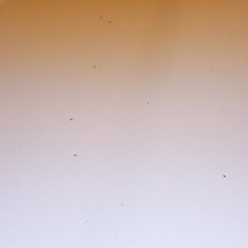 Egea Cross'ta Gizemli Siyah Noktalar