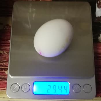 YIL-PA Yumurta Gramaj Eksikliği Ve Peynirci Baba'ya Güvensizlik