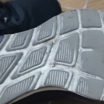 Skechers Ayakkabıda Kalitesizlik Ve Müşteri Memnuniyetsizliği