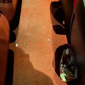 Hijyen Sorunu Ve Kötü Koku Deneyimi