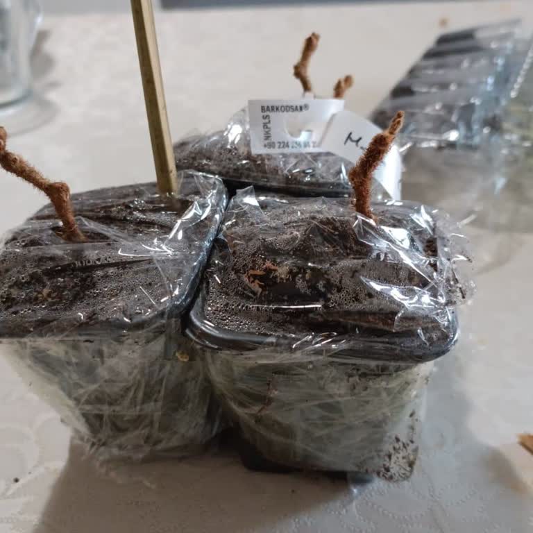 Eksik Ve Yanıltıcı Ürün Teslimatı