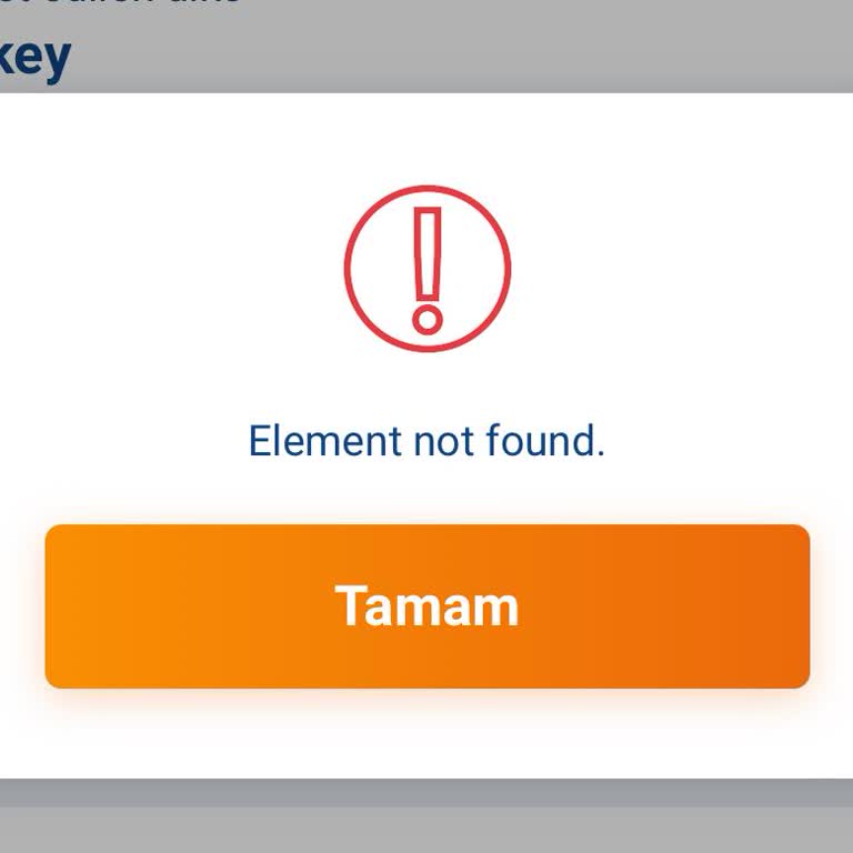 Check-in Sistemi Hatası: Uçuş Öncesi Stres