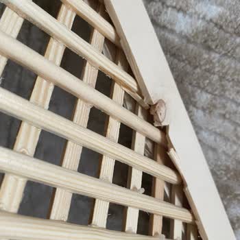 Hasarlı Ve Kalitesiz Ürün: İade Talebime Yanıt Bekliyorum