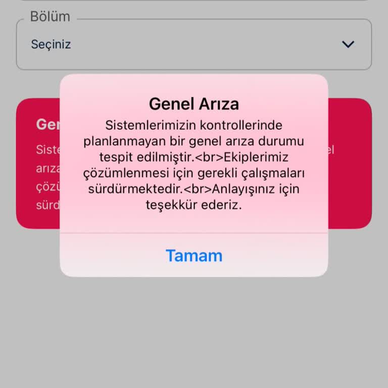İnternet Kesintisi Ve Yetersiz Destekle İş Kaybı