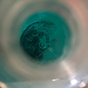 S'he Vec. Slyc Toniğinde Beklenmedik Kristaller!