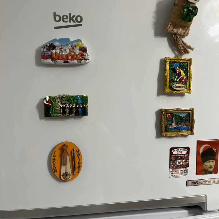 Beko Buzdolabı Servis Sorunları: Güven Kaybı Ve Ürün Ziyanı