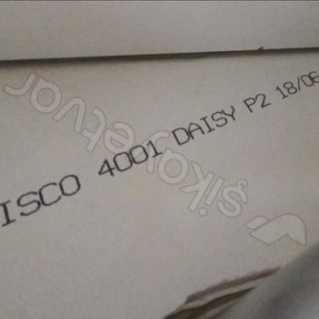 Calisco Kuvars Tarafından Mağdur Edildim!