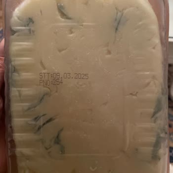 Son Kullanma Tarihi Geçmemiş Peynirin Küflenme Sorunu