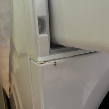 Bosch Çamaşır Makinesinde Paslanma Sorunu